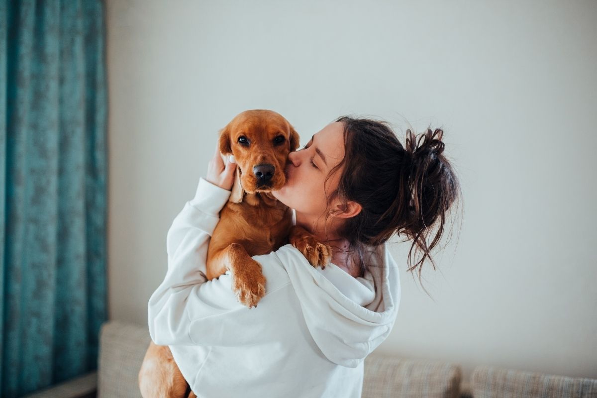 Lyff for pet owners